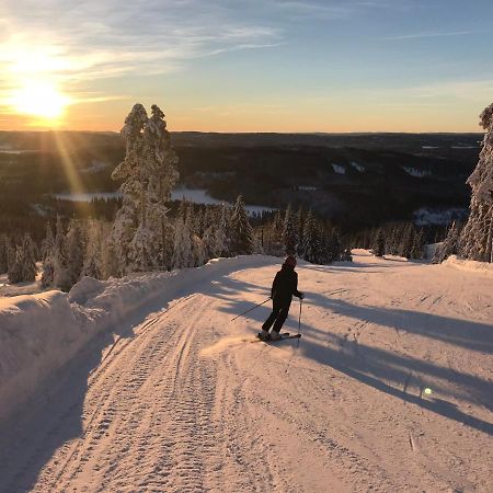 Raemsbyns Fritidsomrade - Den Perfekta Platsen Foer Avkoppling Villa Idkerberget Bagian luar foto